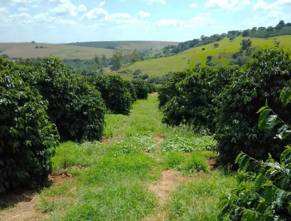 Fazenda, 3 quartos - Foto 10