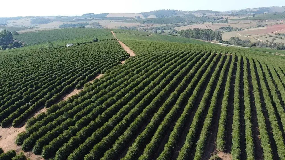 Fazenda, 3 quartos - Foto 2