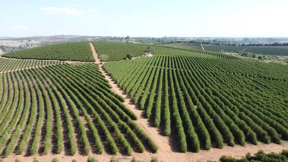 Fazenda, 3 quartos - Foto 5