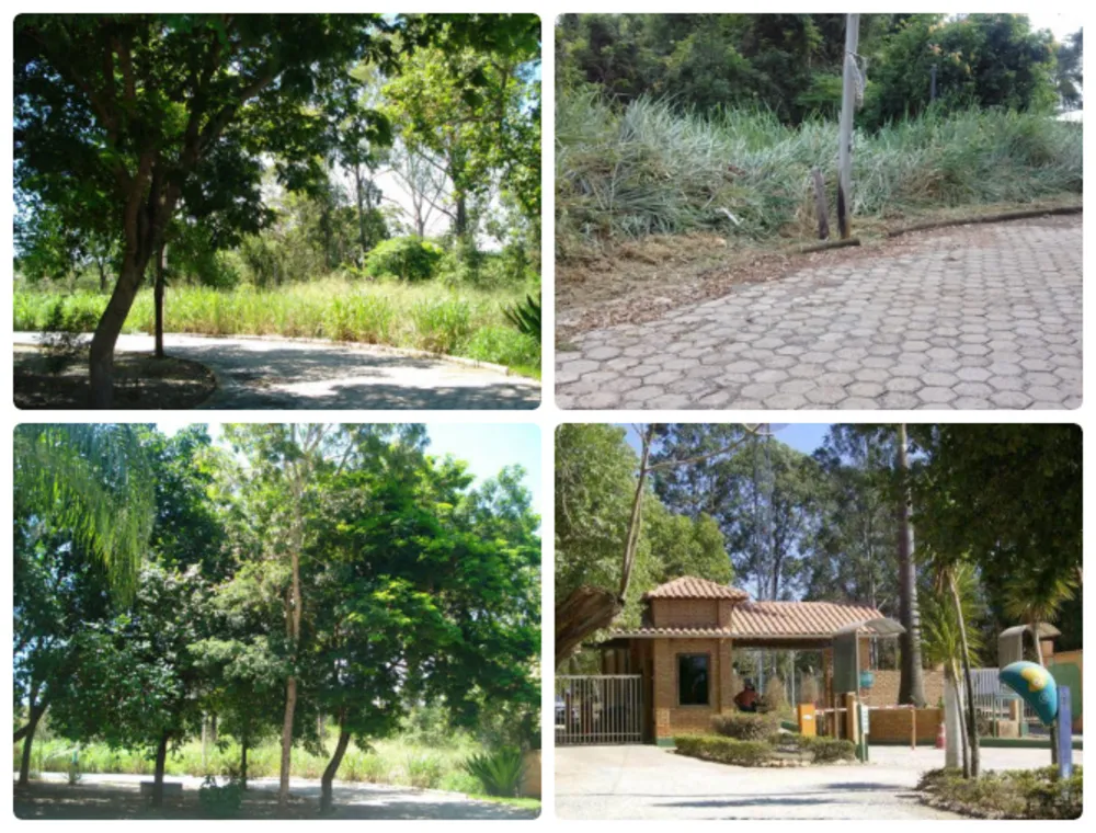 Terreno, 2050 m² - Foto 7