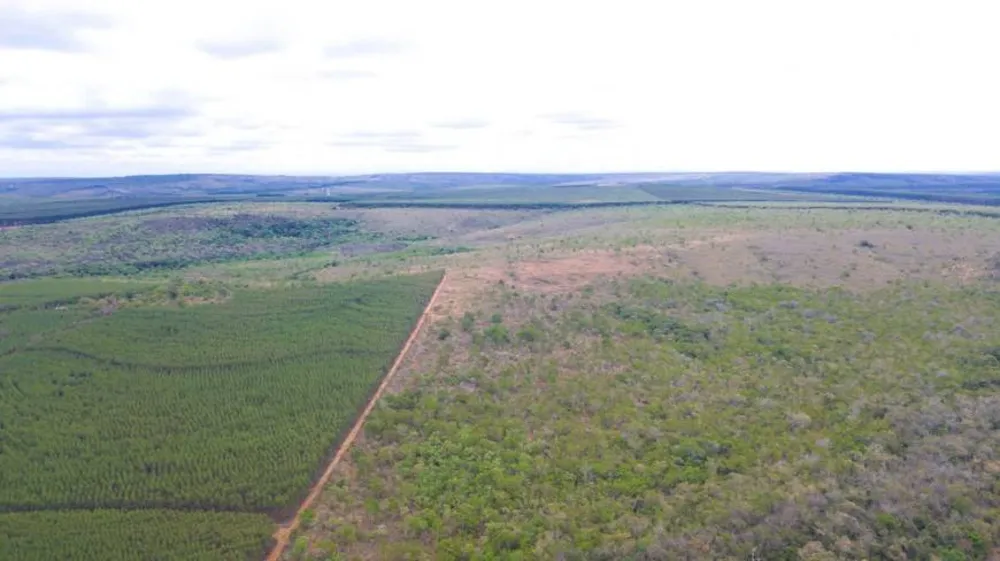 Fazenda, 2620 m² - Foto 1
