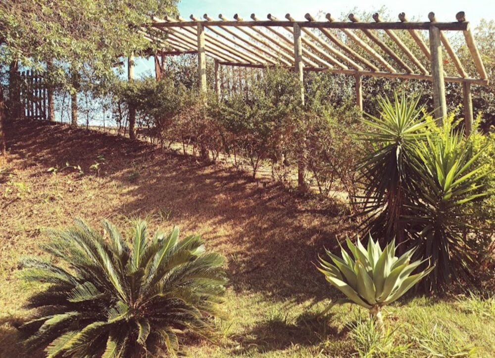 Chácara à venda com 4 quartos, 1000m² - Foto 4