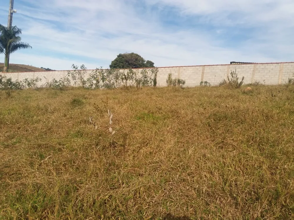 Casa, 2 quartos, 10000 m² - Foto 7
