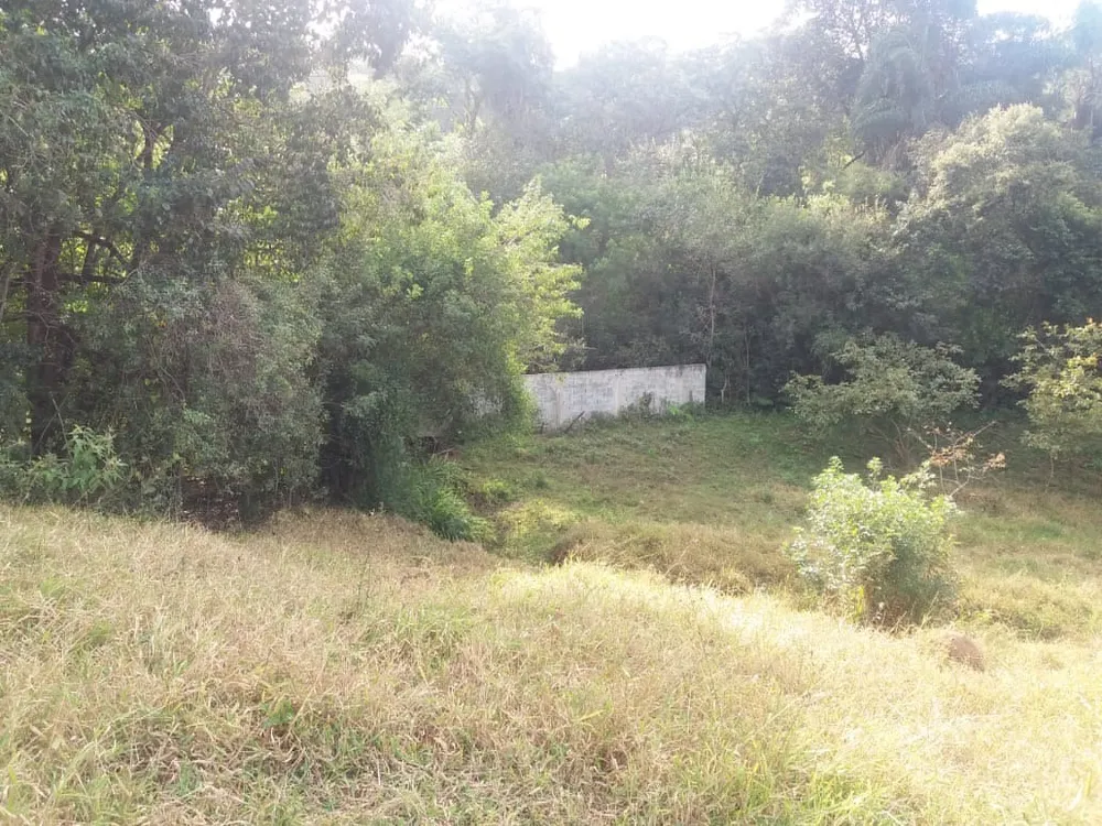 Casa, 2 quartos, 10000 m² - Foto 9