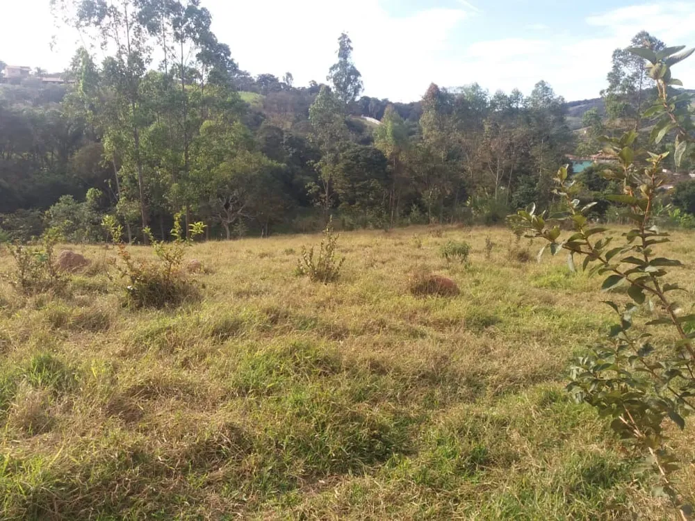 Casa, 2 quartos, 10000 m² - Foto 3