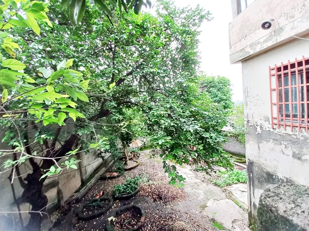 Casa, 5 quartos, 360 m² - Foto 12