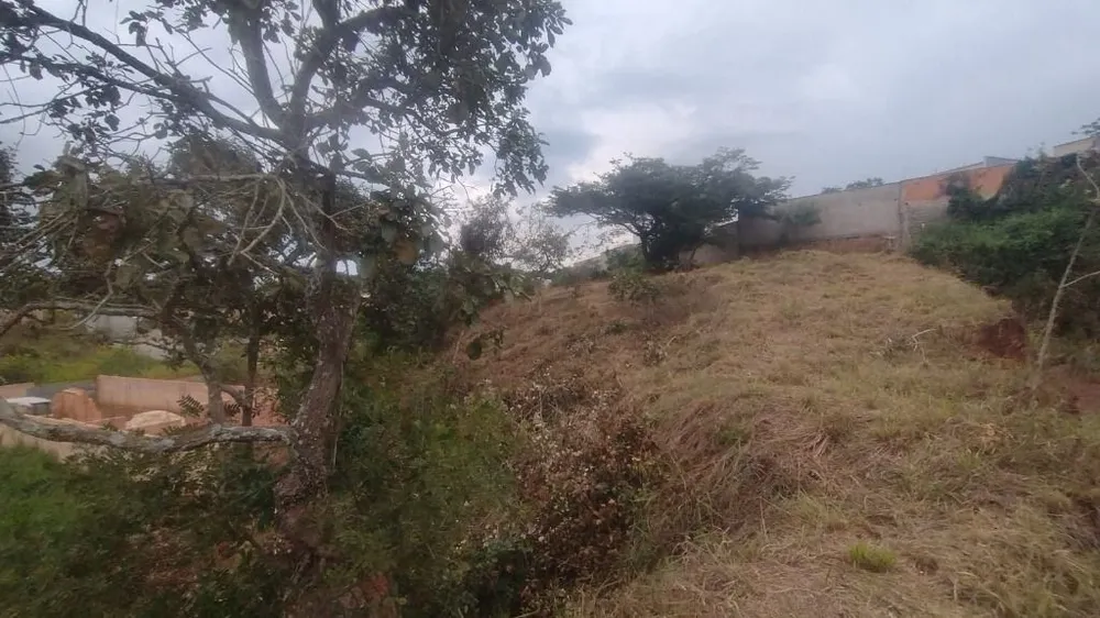 Terreno - Foto 6