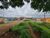 Terreno, 200 m² - Foto 3