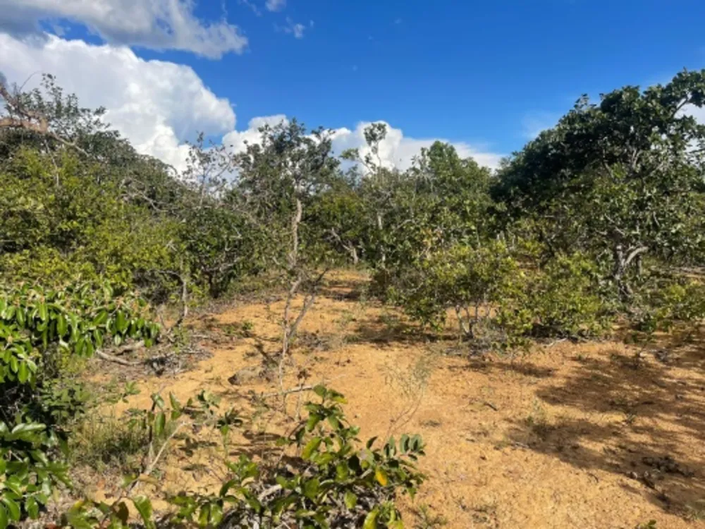 Terreno, 1000 m² - Foto 2