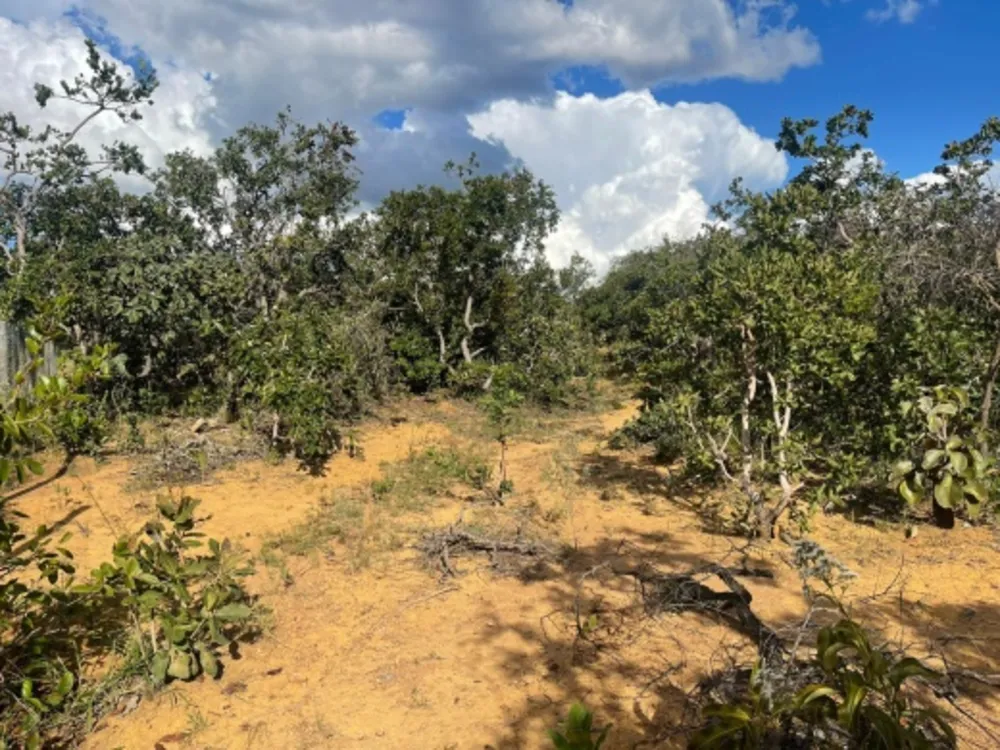 Terreno, 1000 m² - Foto 3