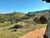 Fazenda-Sítio-Chácara, 235 hectares - Foto 2