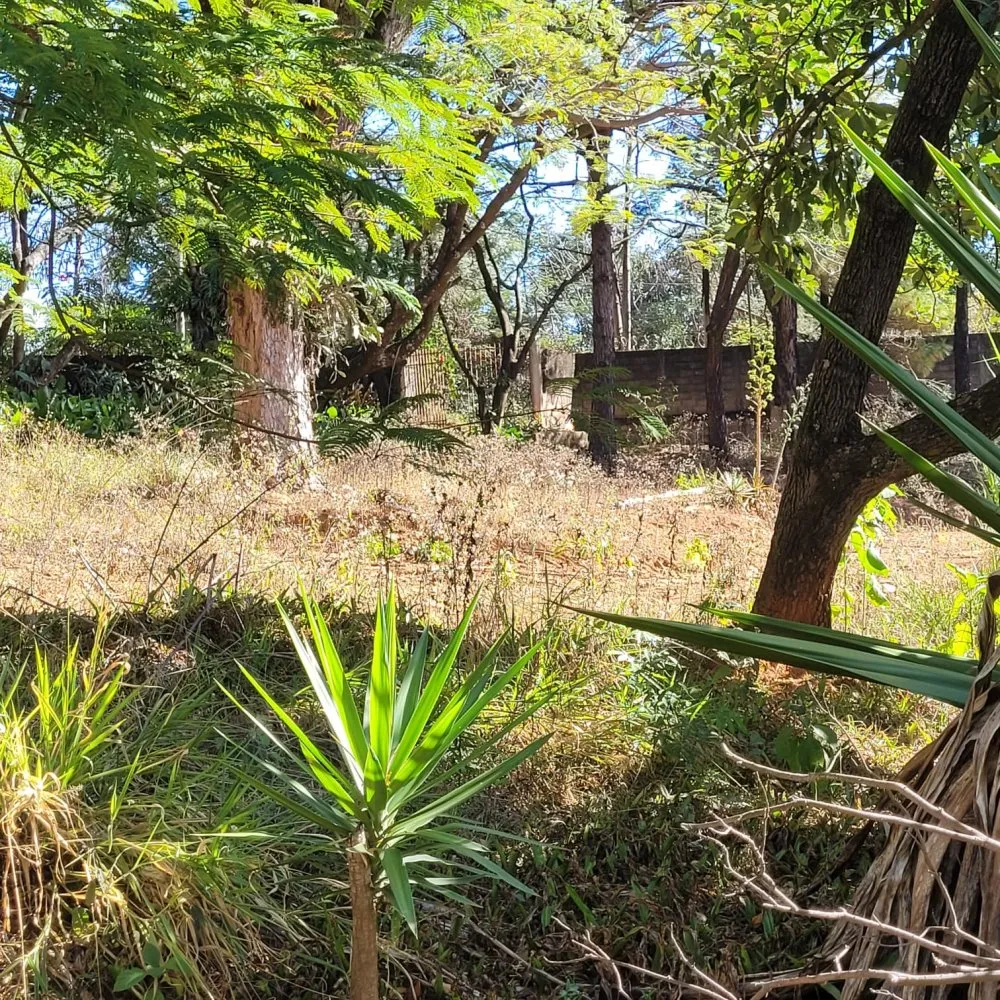 Terreno, 5720 m² - Foto 12