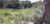 Terreno, 5000 m² - Foto 2