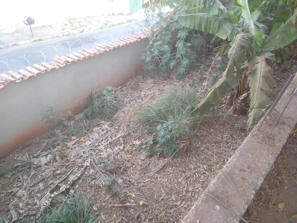 Casa, 4 quartos, 430 m² - Foto 11