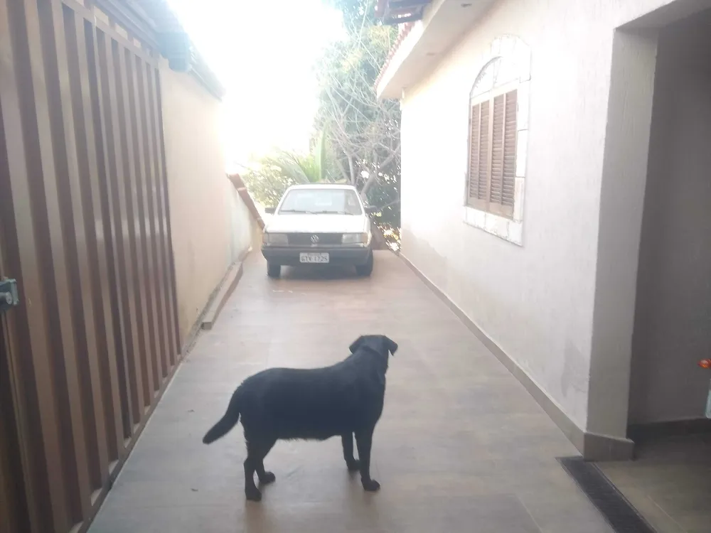 Casa, 4 quartos, 430 m² - Foto 7