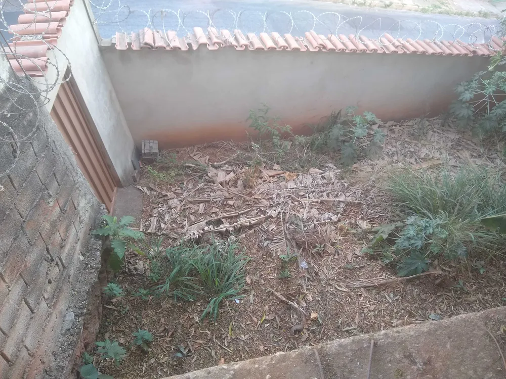 Casa, 4 quartos, 430 m² - Foto 14