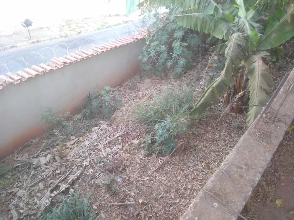 Casa, 4 quartos, 430 m² - Foto 11