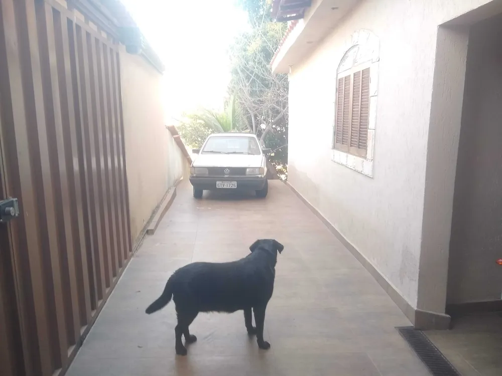 Casa, 4 quartos, 430 m² - Foto 6