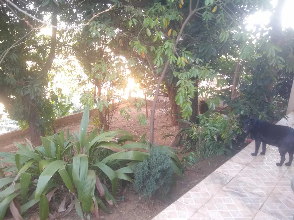 Casa, 4 quartos, 430 m² - Foto 10