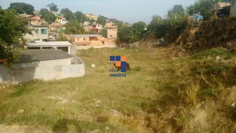 Terreno, 3600 m² - Foto 10