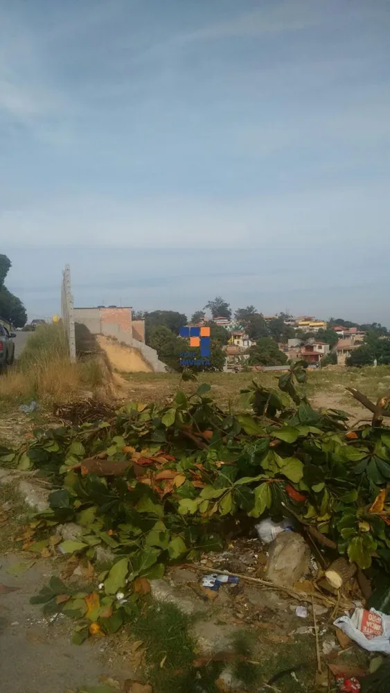 Terreno, 3600 m² - Foto 11