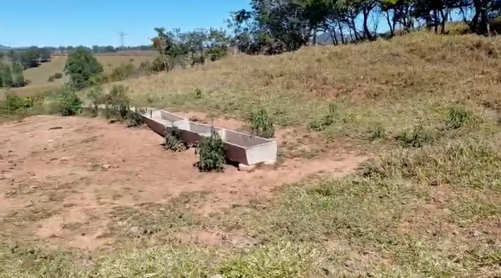 Fazenda, 200 hectares - Foto 1