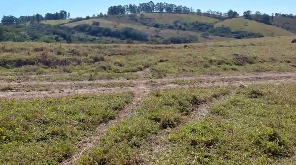 Fazenda, 200 hectares - Foto 4