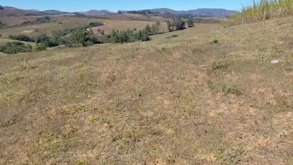 Fazenda, 200 hectares - Foto 4