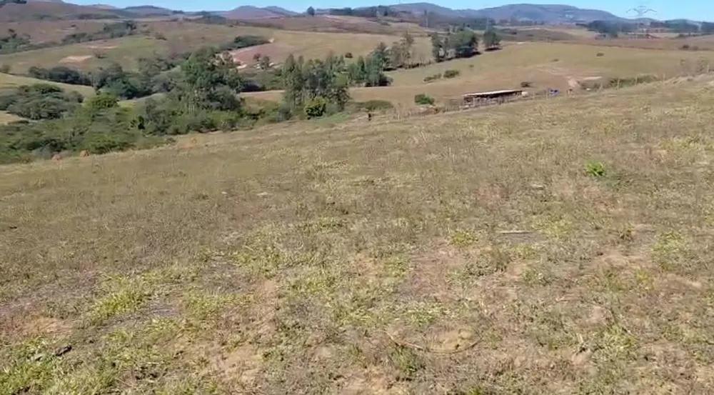 Fazenda, 200 hectares - Foto 2