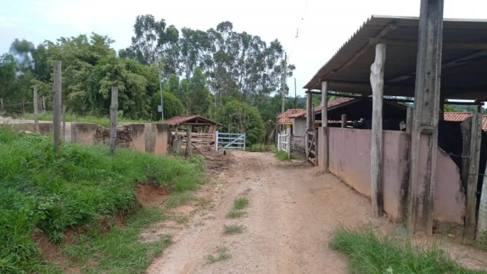 Sítio, 6 quartos, 5000 m² - Foto 1