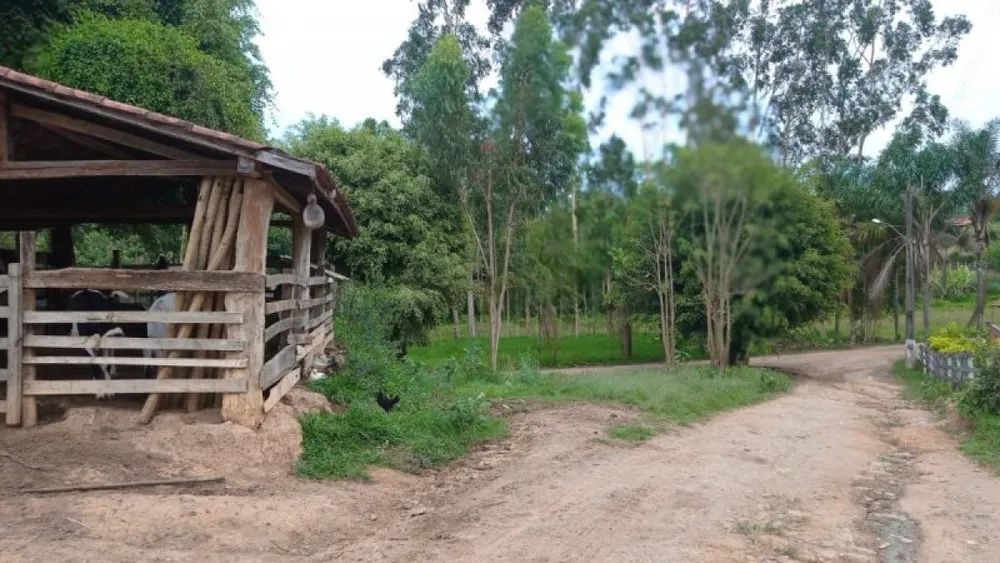 Sítio, 6 quartos, 5000 m² - Foto 8