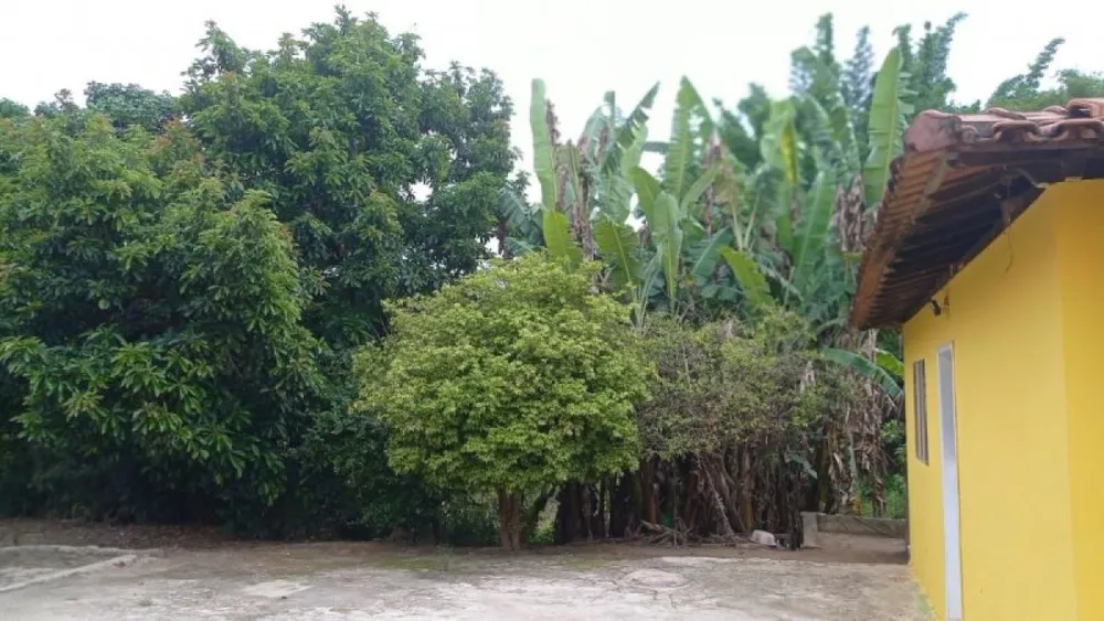 Sítio, 6 quartos, 5000 m² - Foto 2