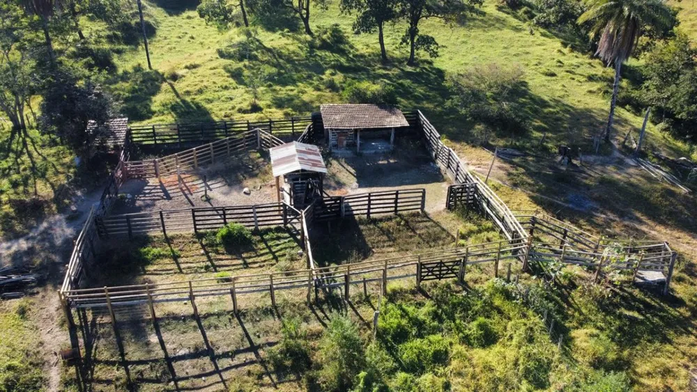 Fazenda, 8 hectares - Foto 4