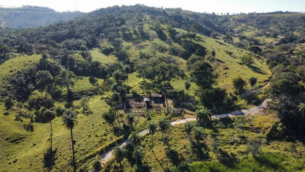 Fazenda, 8 hectares - Foto 2
