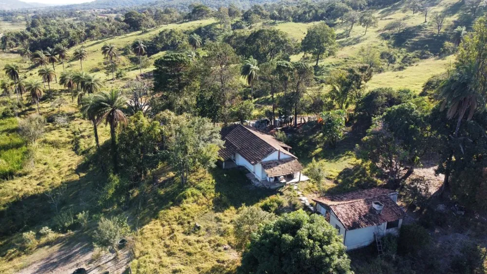 Fazenda, 8 hectares - Foto 5