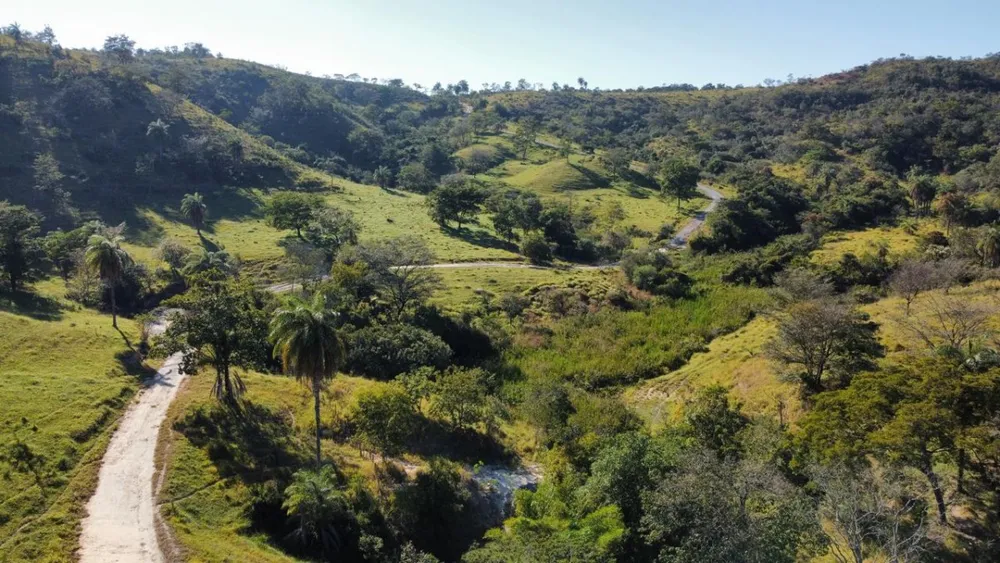 Fazenda, 8 hectares - Foto 6