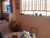 Casa, 2 quartos, 220 m² - Foto 3