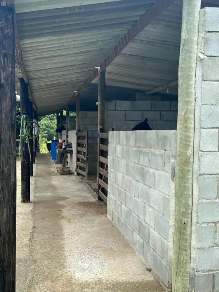 Fazenda, 6 quartos - Foto 10