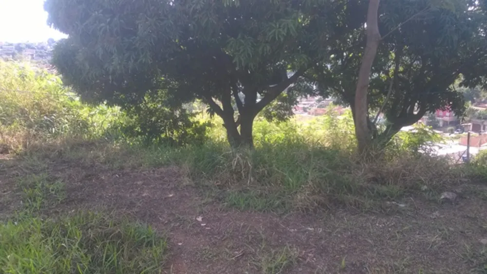 Terreno, 360 m² - Foto 11