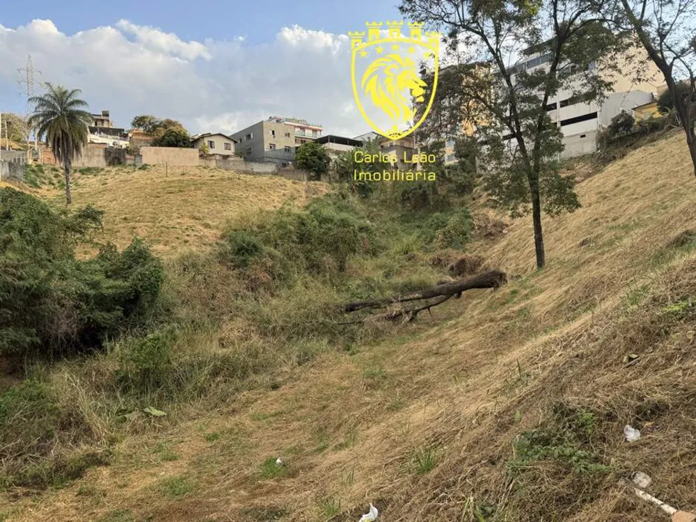Terreno, 4160 m² - Foto 4