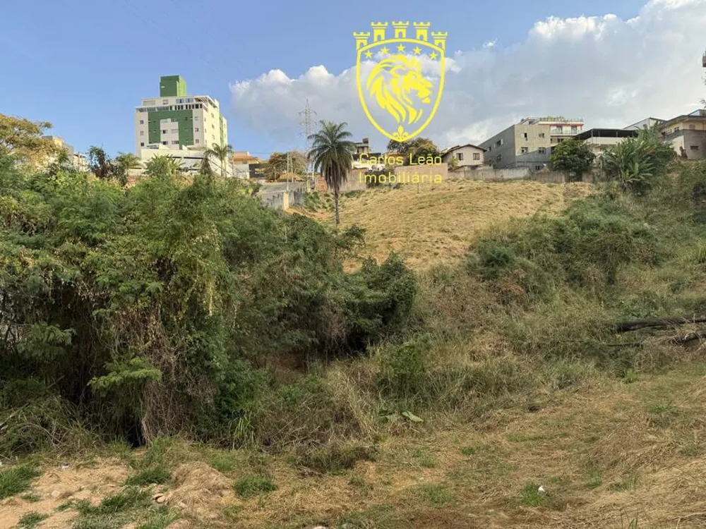 Terreno, 4160 m² - Foto 5