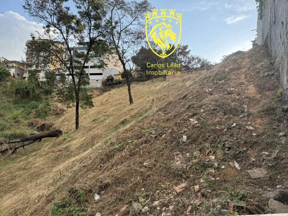Terreno, 4160 m² - Foto 3