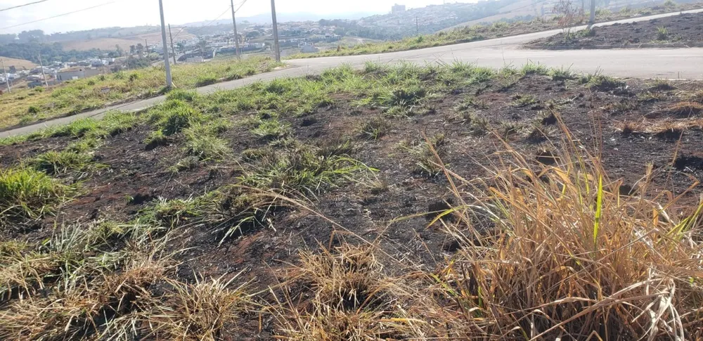 Terreno - Foto 2