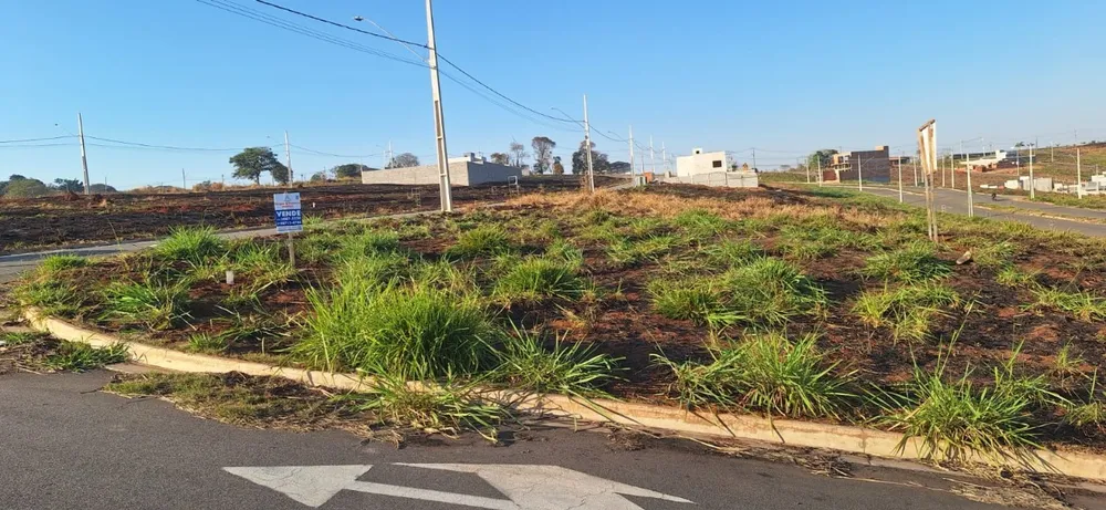 Terreno - Foto 4