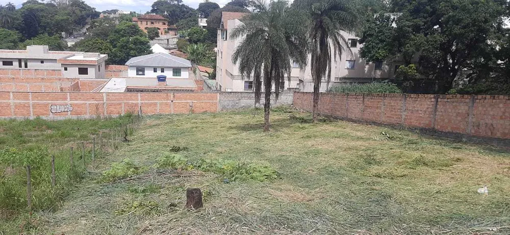 Terreno, 1000 m² - Foto 3