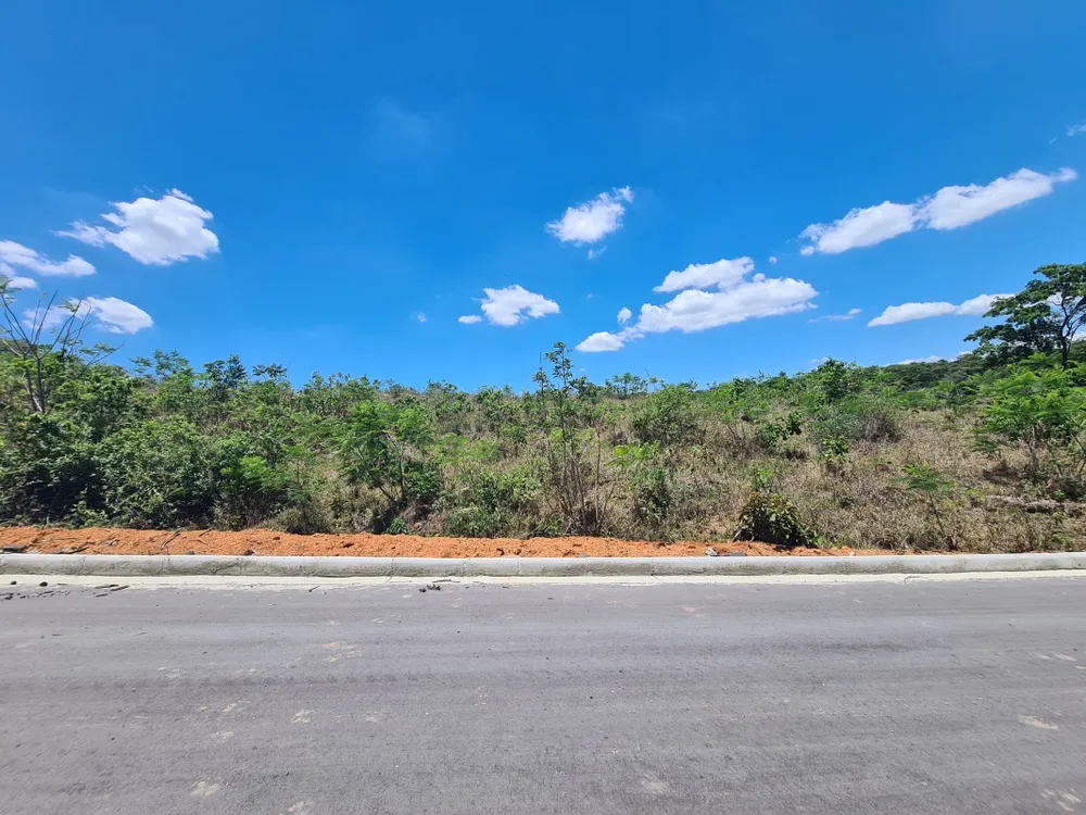 Terreno, 5 hectares - Foto 7