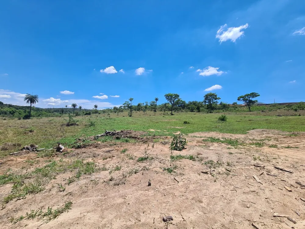 Terreno, 5 hectares - Foto 3