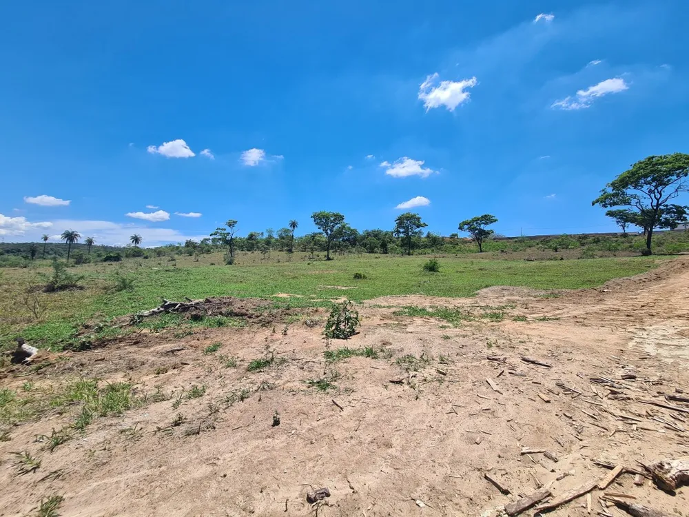 Terreno, 5 hectares - Foto 12