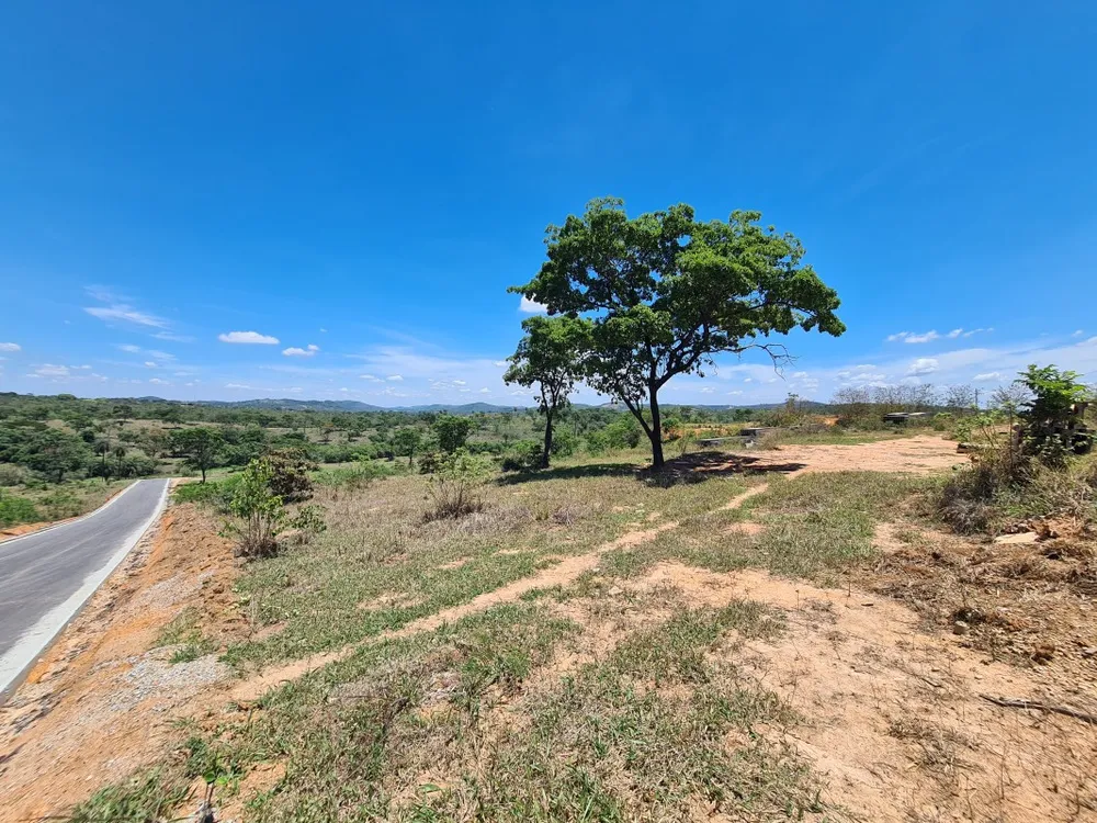 Terreno, 5 hectares - Foto 9