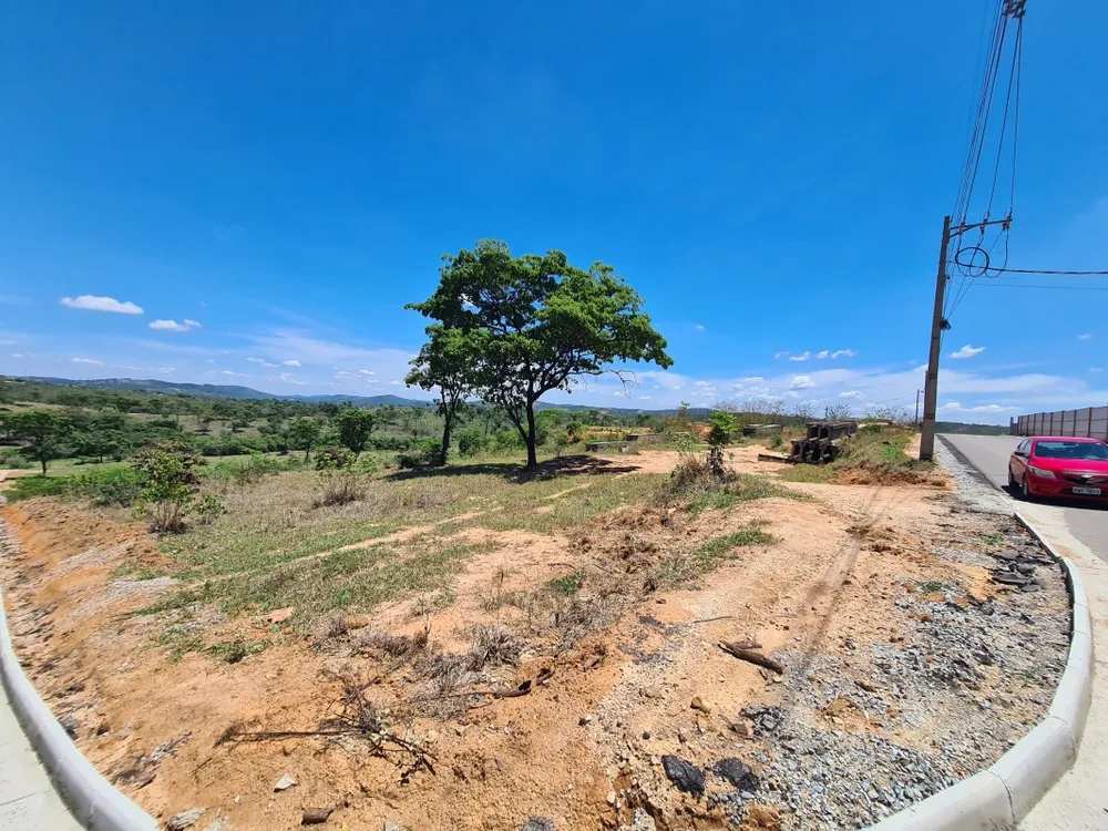 Terreno, 5 hectares - Foto 6